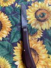 IMG_0470.jpeg