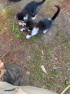 IMG_4798.jpeg