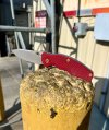 IMG_7707.jpeg