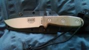 esee3b.jpg