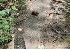 IMG_3479.jpeg