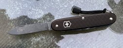 IMG_1468.jpeg