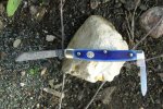 5252 on rock.JPG
