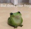 IMG_0581.jpeg