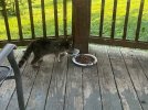 IMG_9505.jpeg