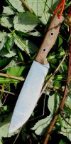 Condor Low Drag 1-8.JPG