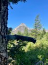 IMG_9371.jpeg