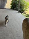 IMG_1647.jpeg
