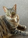IMG_1649.jpeg