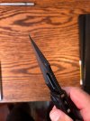 IMG_7540.jpeg
