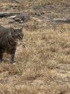 IMG_1657.jpeg