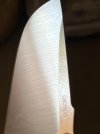 IMG_8437.jpeg