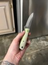 IMG_5107.jpeg
