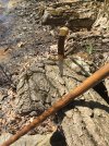 IMG_0455.jpeg