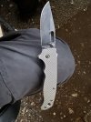IMG_6332.jpeg