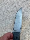 IMG_4067.jpeg