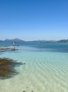 IMG_6601.jpeg