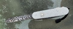 IMG_1528.jpeg