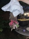 IMG_4472.jpeg