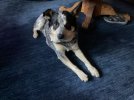 IMG_1383.jpeg
