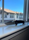 IMG_8293.jpeg