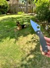IMG_1845.jpeg