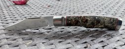 IMG_1560.jpeg