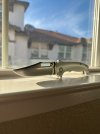 IMG_8348.jpeg