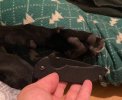 IMG_8785.jpeg