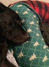 IMG_8786.jpeg