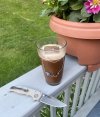 IMG_3524.jpeg