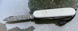 IMG_1587.jpeg