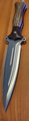 IMG_5775.jpeg