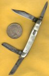 Cut Pearl Dollar 1.jpg