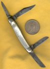 Cut Pearl Dollar 2.jpg