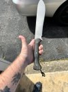 IMG_6595.jpeg