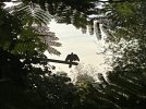 IMG_9723.jpeg
