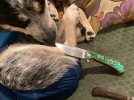 IMG_1387.jpeg