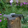 _DSC0463.jpg