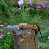 _DSC0457.jpg