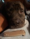 IMG_9695.jpeg
