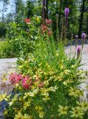 IMG_20250720_143035718~2.jpg