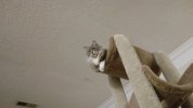 IMG_20210121_200404.jpg