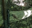IMG_0274.jpeg