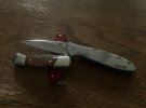 IMG_1170.jpeg