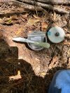 IMG_6630.jpeg