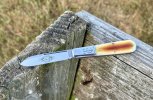 IMG_2358.jpeg