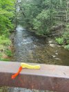 IMG_5428.jpeg