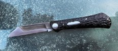 IMG_1731.jpeg