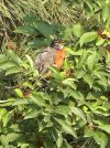 IMG_0798.jpeg